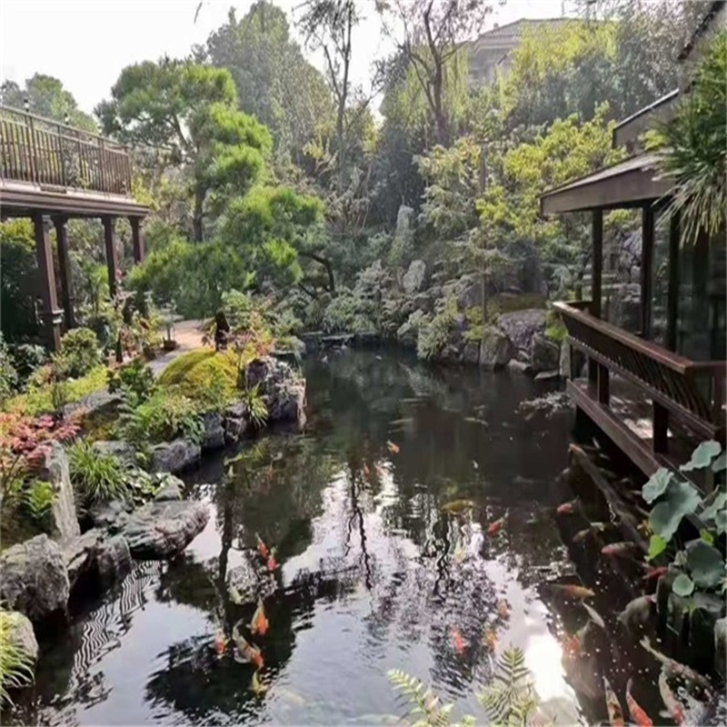 东港假山植物小鱼池